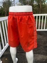 Load image into Gallery viewer, Sz XL embroidered swim trunks