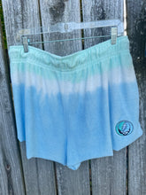 Load image into Gallery viewer, Sz L women’s embroidered shorts
