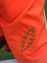 Load image into Gallery viewer, Sz XL embroidered swim trunks
